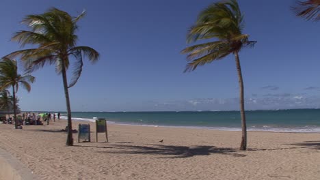 San-Juan-Palmen-Am-Strand-Und-Ein-Paar-Leute-Am-Strand