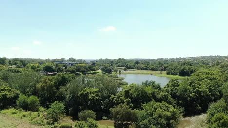 Bird-island-drone-reveal-in-a-fresh-water-lake-from-behind-tree-line