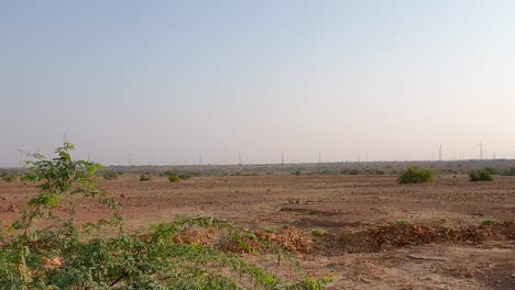 Wunderschöne-Landschaft-Des-Trockenen-Landes-Der-Wüste-Thar-Mit-Windturbinen-Im-Hintergrund