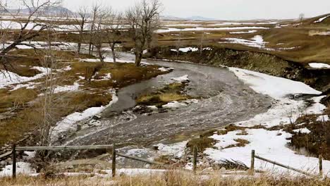 Rapid-snowmelt-from-the-fields-in-the-grassland-region-of-Alberta-causing-turbulent-runoff-in-this-tributary-of-the-Oldman-River
