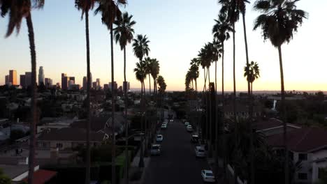 Beautiful-drone-shot-pushing-in-on-palm-trees-with-the-sunset-in-the-background