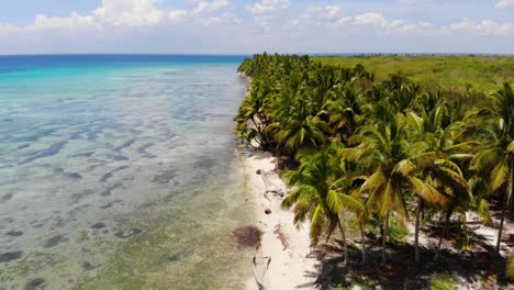 Aerial-view-flying-forward-over-a-beautiful-palm-tree-beach-with-a-boat-going-in-the-turqoise-clear-sea,-Dominicana