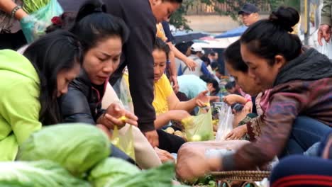 Luang-Prabang-morning-market-is-the-market-located-in-the-world-heritage-city-of-Luang-Prabang,-they-use-alley-beside-the-temple-to-sell-their-goods-such-as-fresh-vegetable,-fish,-and-wild-animal