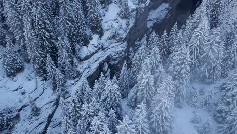 aerial-approach-toa-gorge-in-winter-in-the-swiss-alps,-Grindelwald