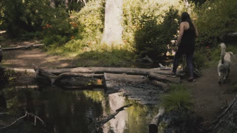 women-walking-in-the-forest-with-her-dogs