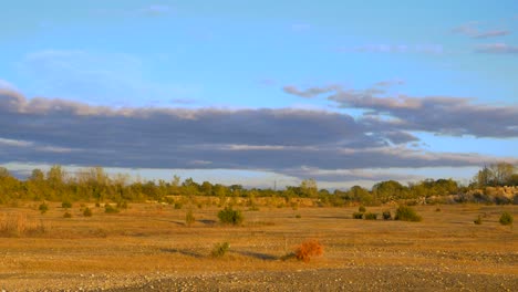 Zoom-Lento-De-Un-Paisaje-Desértico,-Línea-De-árboles-Y-Cielo-Azul