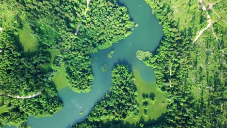 Aerial-shot-of-Lake-Cerknica,-Slovenia,-surrounded-by-a-bright-green-forest