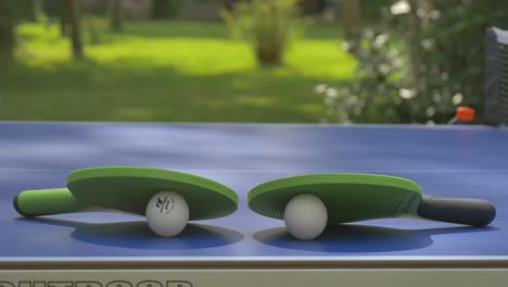 Mesa-De-Ping-pong-Azul-En-Un-Gran-Jardín