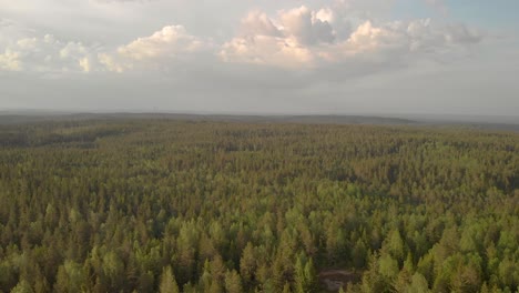 Drone-pulling-downward-to-swedish-forrest