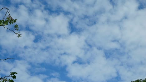 clouds-and-natural-beauty-in-the-morning