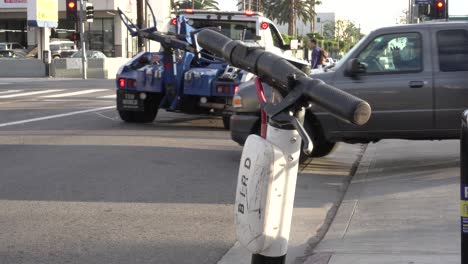 Scooter-De-Aves-En-Los-Angeles