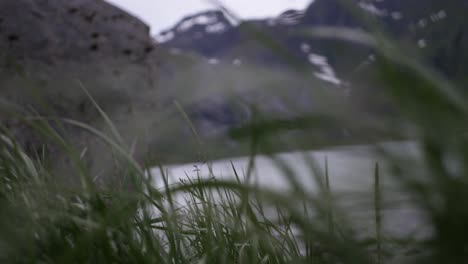 Camera-tilt-up-from-wind-blown-grass-revealing-ragged-mountain-range-in-background