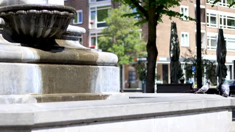 Pigeons,-doves-walking-at-a-water-fountain-in-Rotterdam-and-flying-away