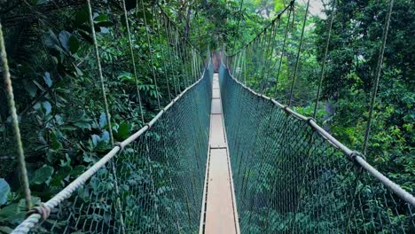 Walking-along-a-canopy-walk,-high-in-the-jungle