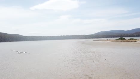 Drohnenaufnahmen-über-Seichtem-Wasser-Berge-Im-Hintergrund-Pelikan-Fliegen-In-Richtung