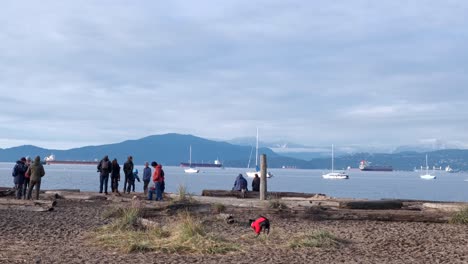 Multiple-dogs-and-their-owners-enjoying-a-sunny-December-day-in-Kitsilano-Beach,-Vancouver-with-multiple-boats-and-tankers-and-snowy-peaks-in-the-background