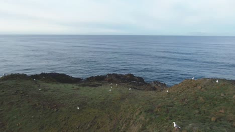 Pequeña-Isla-Frente-A-La-Costa-De-Oregon,-Cerca-De-La-Emblemática-Playa-Cannon