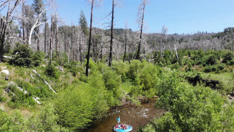 Eine-Drohne-Startet-Am-Horizont-Eines-Waldes-Und-Senkt-Sich-Herab,-Um-Eine-Familie-Zu-Enthüllen,-Die-Beim-Wildwasserrafting-Viel-Spaß-Hat