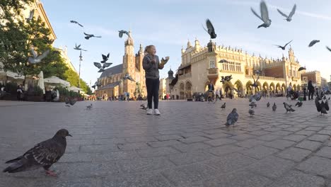 Little-girl's-thrill-of-seeing-the-flight-of-pigeons-flying-while-feeding