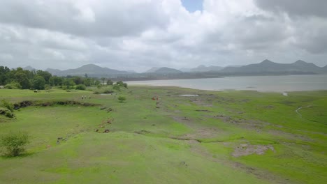 Monsoon-In-Trimbakeshwar,-India---Beautiful-Lush-Green-Landscapes-And-Scenic-Mountain-Ranges-Surrounding-The-River---Wide-Shot