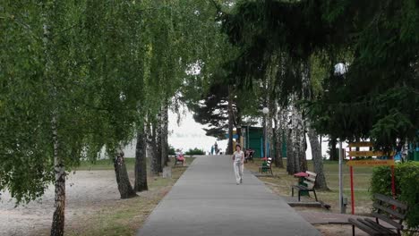 Vista-Aérea-Siguiendo-El-Parque-Con-Gente-Caminando-Por-La-Acera-Y-Gente-Sentada-En-Bancos-Rodeados-De-árboles