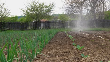 Bewässerung-Des-Gartens-Mit-Klassischem-Sprinklersystem