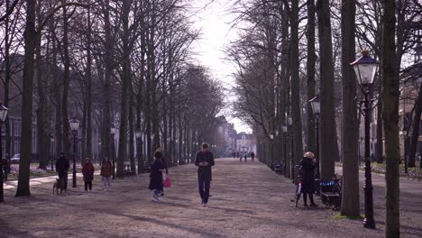 Pedestrians-walking-at-the-Lange-Voorhout-on-a-sunny-day-in-The-Hague,-Netherlands