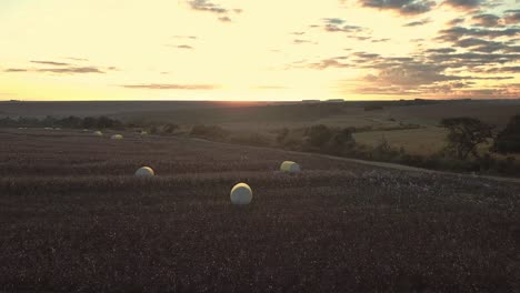 Luftaufnahme-Der-Wunderschönen-Dämmerung-Auf-Einem-Abgeernteten-Baumwollfeld-Mit-Baumwollballen,-Die-Auf-Die-Abholung-Warten