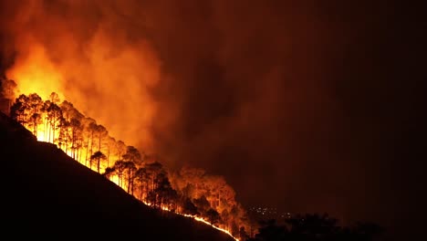 Greece-scorching-wildfires-glowing-blazes-tear-through-forest-at-night