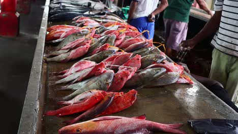 Mahé,-Seychellen,-Victoria-Market,-Eine-Große-Bunte-Auswahl-An-Fischen-Auf-Dem-Stadtmarkt