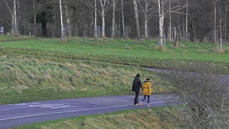 People-walking-on-a-park-road-in-Phoenix-park-in-Dublin-tripod