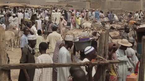 Viehmarkt-Im-Bundesstaat-Katsina