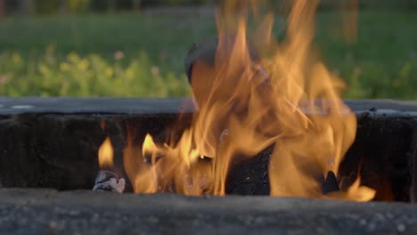 Nahaufnahme-Von-Einem-Lagerfeuer-Im-Sommer