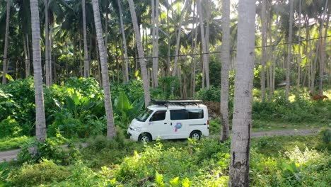 white-camper-van-driving-through-a-tropical-coconut-tree-field-in-Bali-Indonesia-at-sunset,-aerial