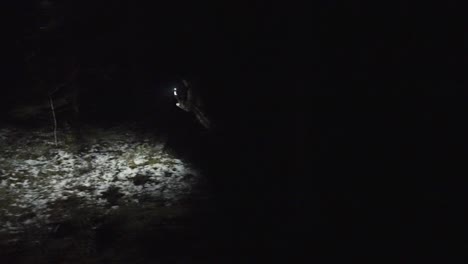 Young-woman-running-through-a-deep-deserted-forest-at-night-in-winter