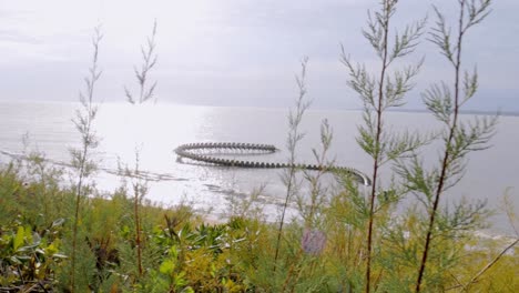 Wide-shot-of-tourists-watching-"Serpent-d'Océan"-art,-handheld-pan