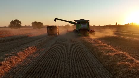 Combine-harvester-and-tractor-harvesting