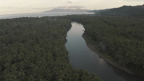 Ruhiger-Wasserstrom-Durch-Die-Dichte-Laubwaldlandschaft-Unter-Klarem-Himmel-Auf-Der-Tropischen-Insel-Auf-Den-Philippinen
