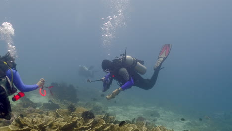 Scuba-Divers-Picking-Up-Plastic-Waste-On-Coral-Reef-Under-The-Sea