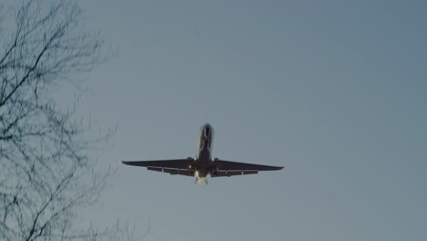 A-jet-makes-a-low-flyover-at-sunset-with-winter-trees-visible-in-the-foreground