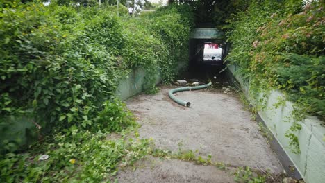 An-old,-abandoned-underpass-flooded-by-water-and-overgrown-by-vegetation