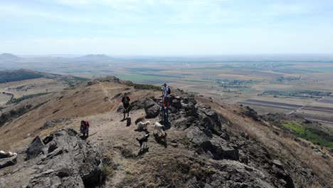 Native-Hikers-And-Pet-Dogs-On-Top-Of-Rocky-Mountain-Of-Macin-In-Tulcea-County,-Dobrogea,-Romania