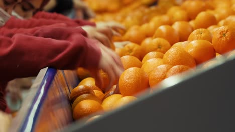 Industrial-modern-tech-production-sorting-line-of-ripe-tasty-citrus-fruits-in-packing-plant