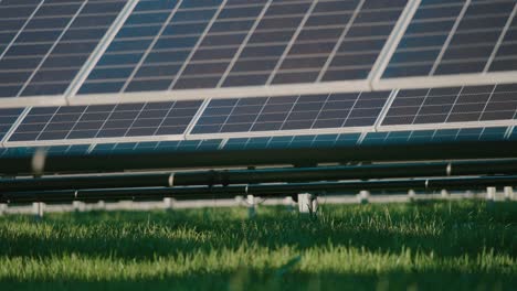 Solar-panels-in-a-green-field-harnessing-sunlight-for-clean-energy