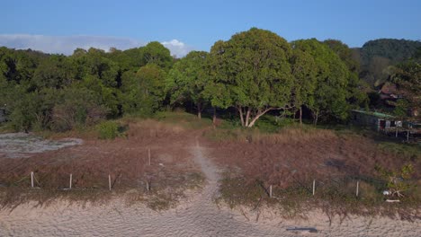 Tourists-enjoying-walking-on-the-beach-at-sunset-with-lush-green-tropical-forest-in-the-background