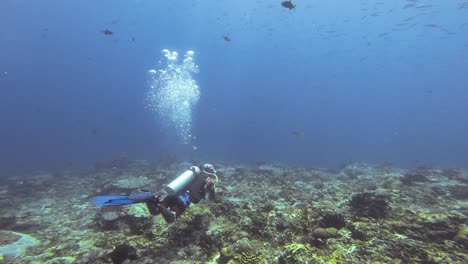 A-scuba-diver-swims-over-a-coral-reef-in-Raja-Ampat,-Indonesia,-exploring-the-underwater-landscape