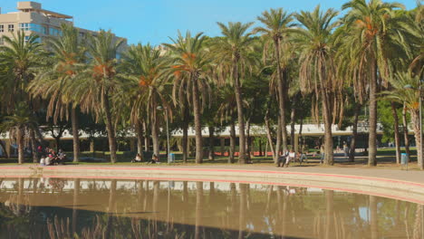 People-relaxing-under-palm-trees-in-Turia-Gardens-in-Valencia,-Spain,-on-a-sunny-day