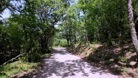 A-scenic-drive-through-the-Crimean-forest-on-a-bright,-sunny-day