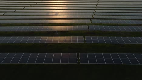 Rows-of-solar-panels-on-a-green-field-at-sunset,-aerial-view