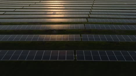 Filas-De-Paneles-Solares-En-Un-Campo-Verde-Al-Atardecer,-Vista-Aérea.